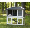 Prevue Pet Products 4601 Duplex Rabbit Hutch