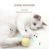 Little cat gravity call call ball toy tease cat ball cat mint voice grinding teeth bite resistant self hi pet products