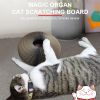 Free from EU Magic Organ Cat Scratching Board with Bell Cat Toy Grinding Claw Cat Play Scratch Climbing Frame Corrugated Paper