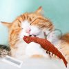 Lobster Shape Cat Toothbrush Interactive Chewing Catnip Toy Dental Care for Kitten Teeth Cleaning Leaky Food Device Natural Rubber Bite Resistance