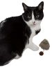 Pet Life Pompom Kitty Mouse Plush Catnip Cat Toy