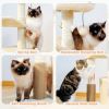 Cat Tree with Natural Sisal Rope Cat Toys for Indoor