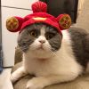 Funny Cat Hat Cartoon Duck Tiger Cosplay Costume Headgear Cute Pets Dog Cap Puppy Kitten Dress Up Accessories